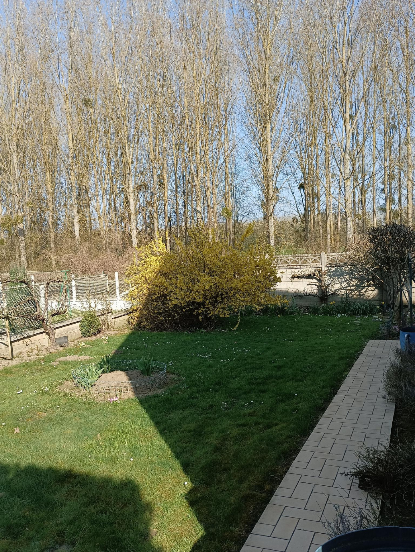 Photo n°3