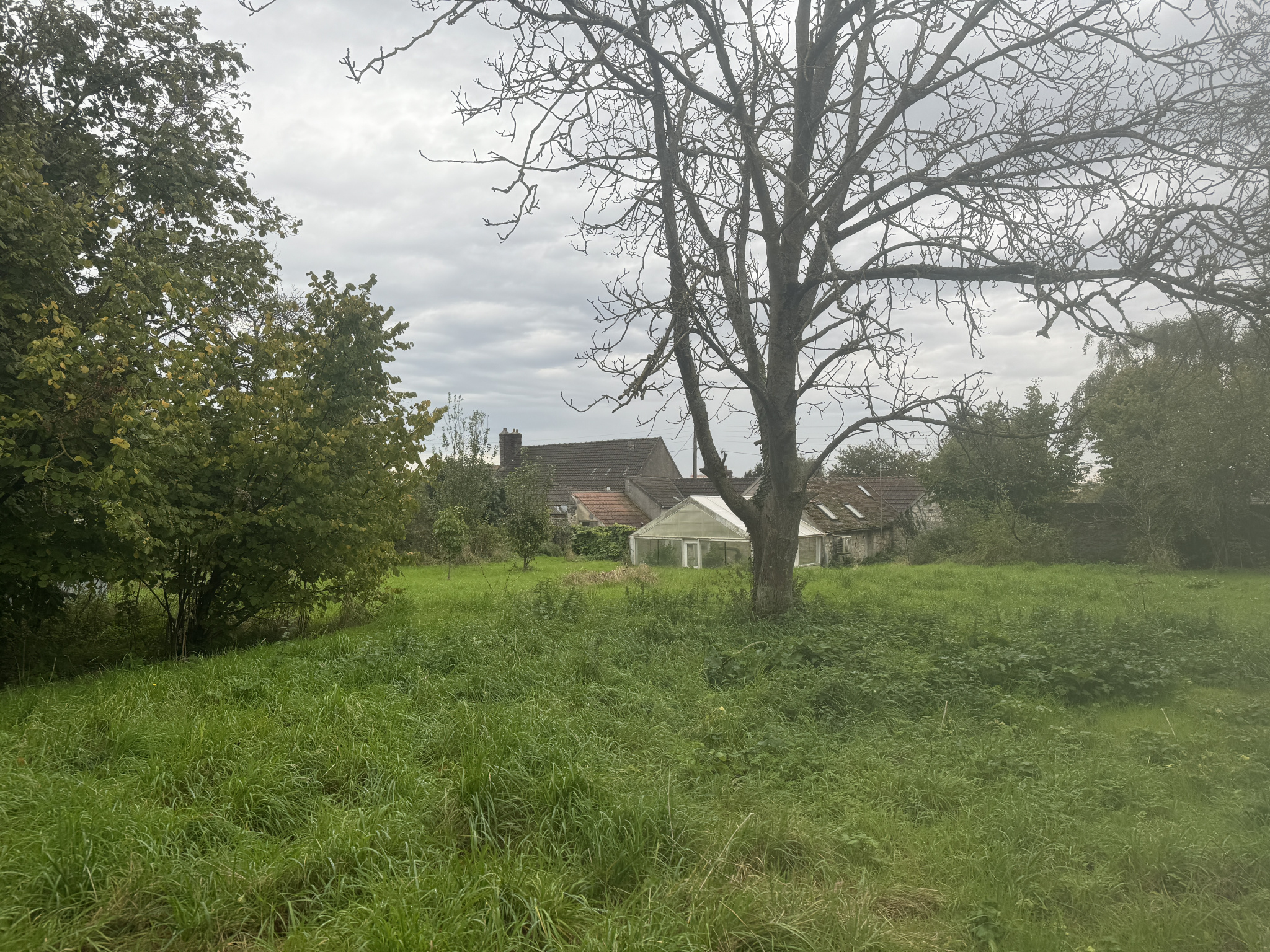 Photo n°8