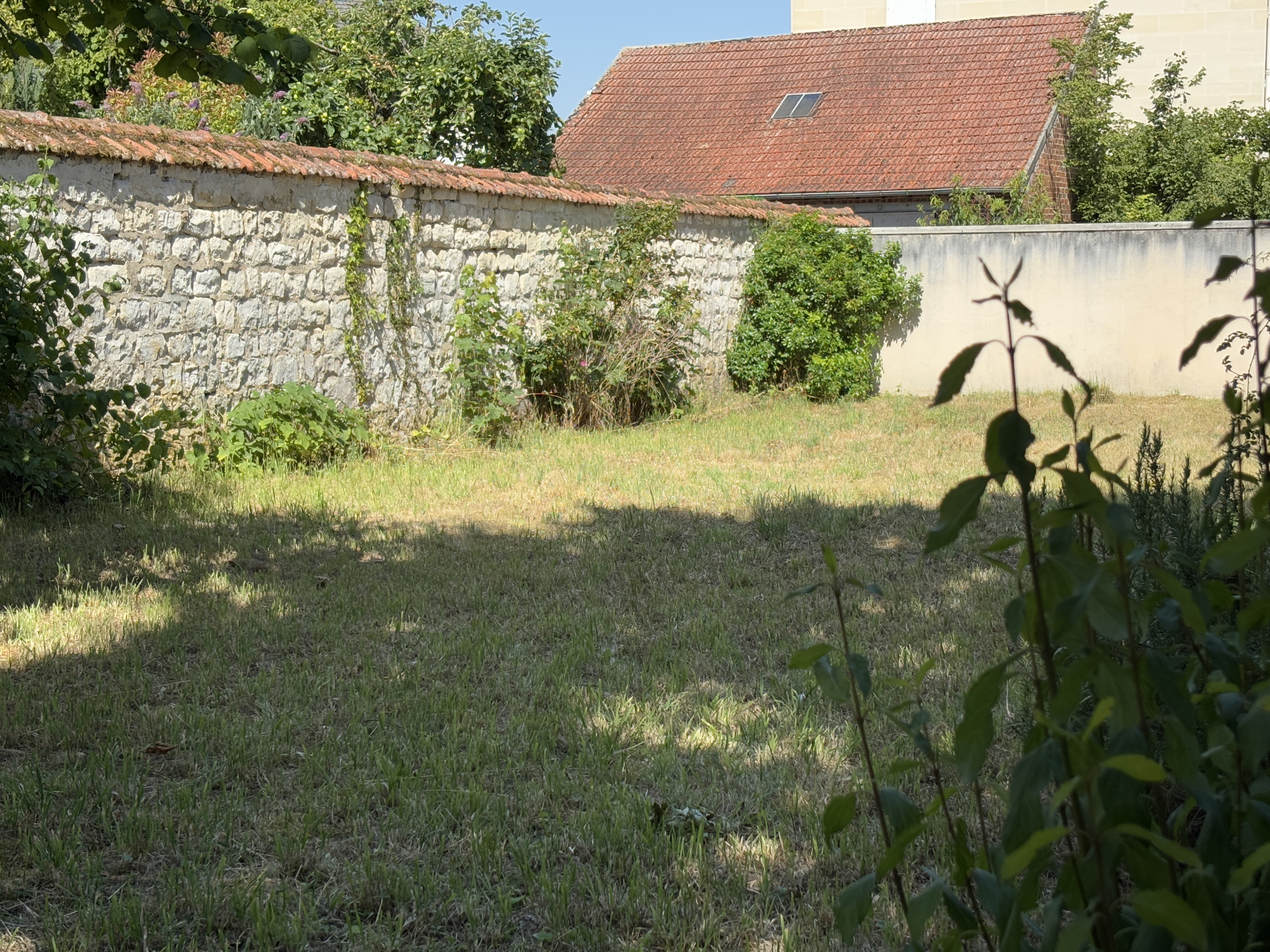 Photo n°6