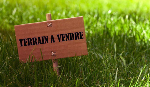 Photo n°2