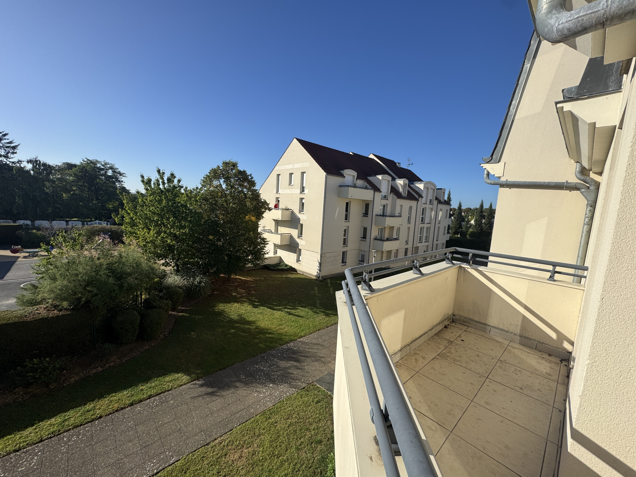 Photo n°5