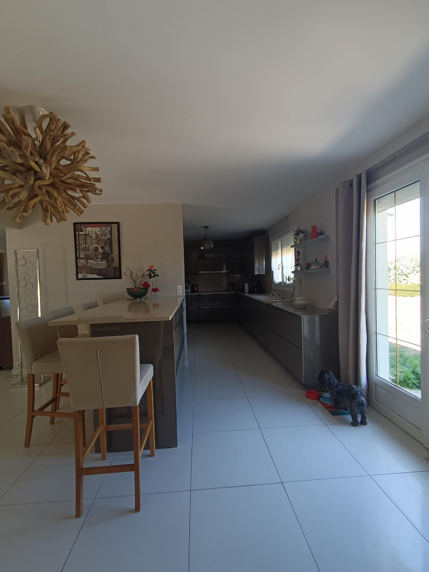 Photo n°5