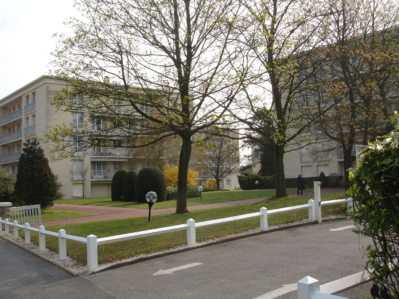 Photo n°7